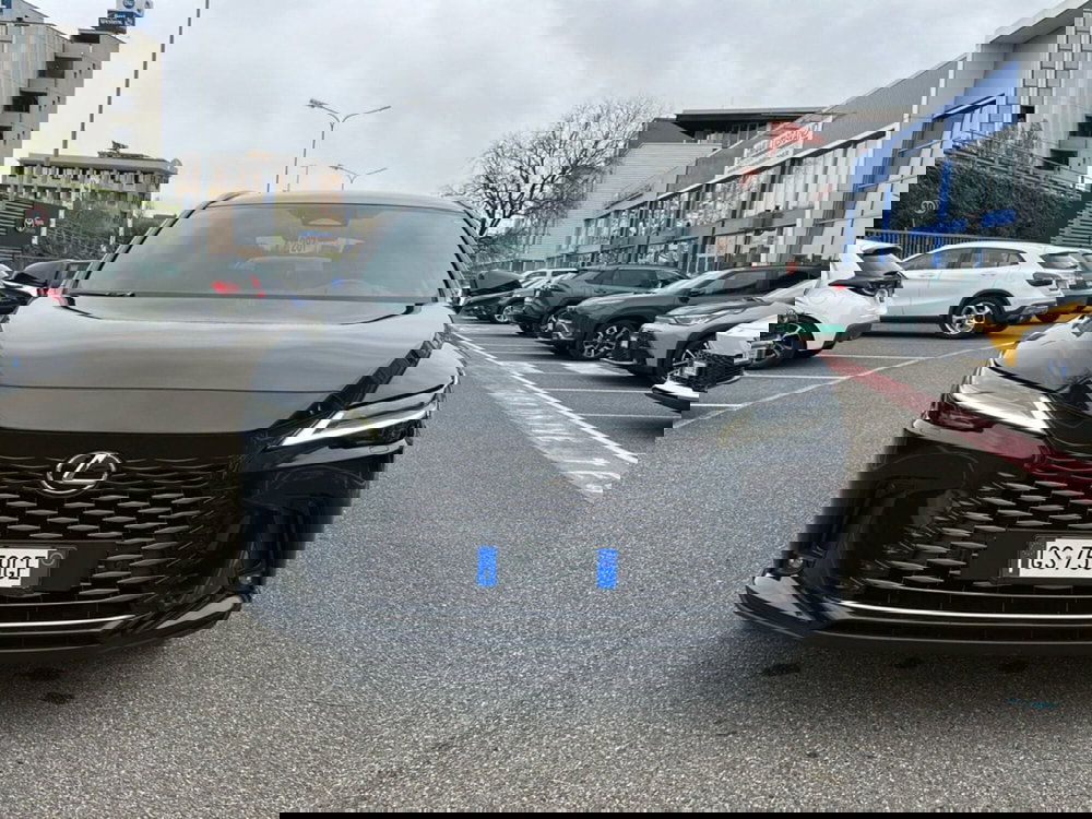 Lexus RX usata a Piacenza (2)