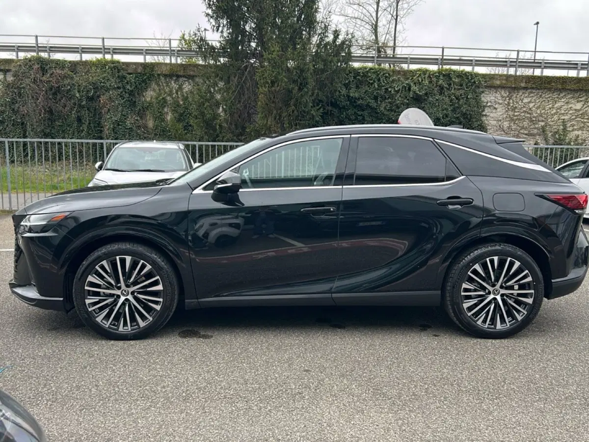 Lexus RX usata a Piacenza (3)