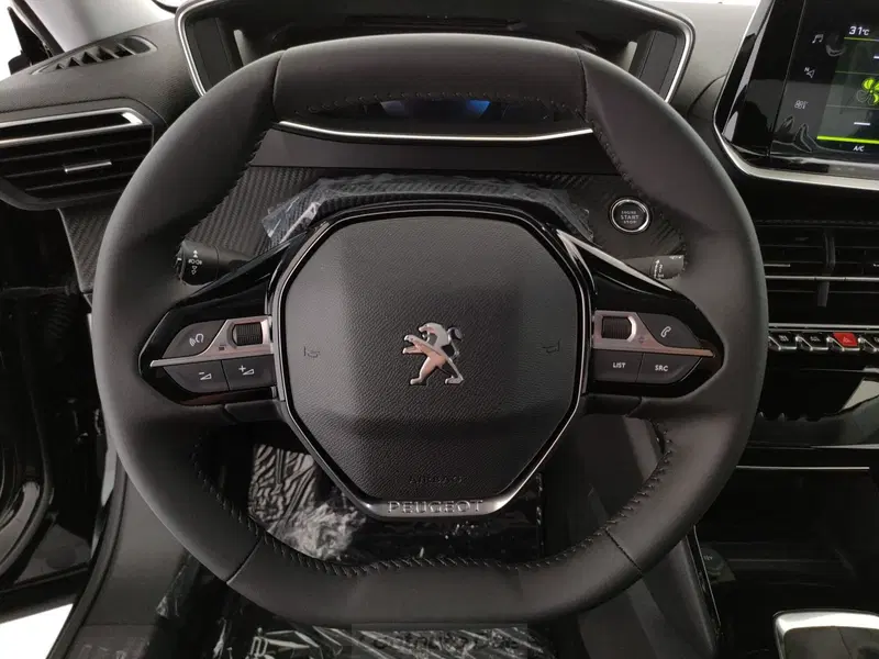 Peugeot 2008 usata a Caserta (17)