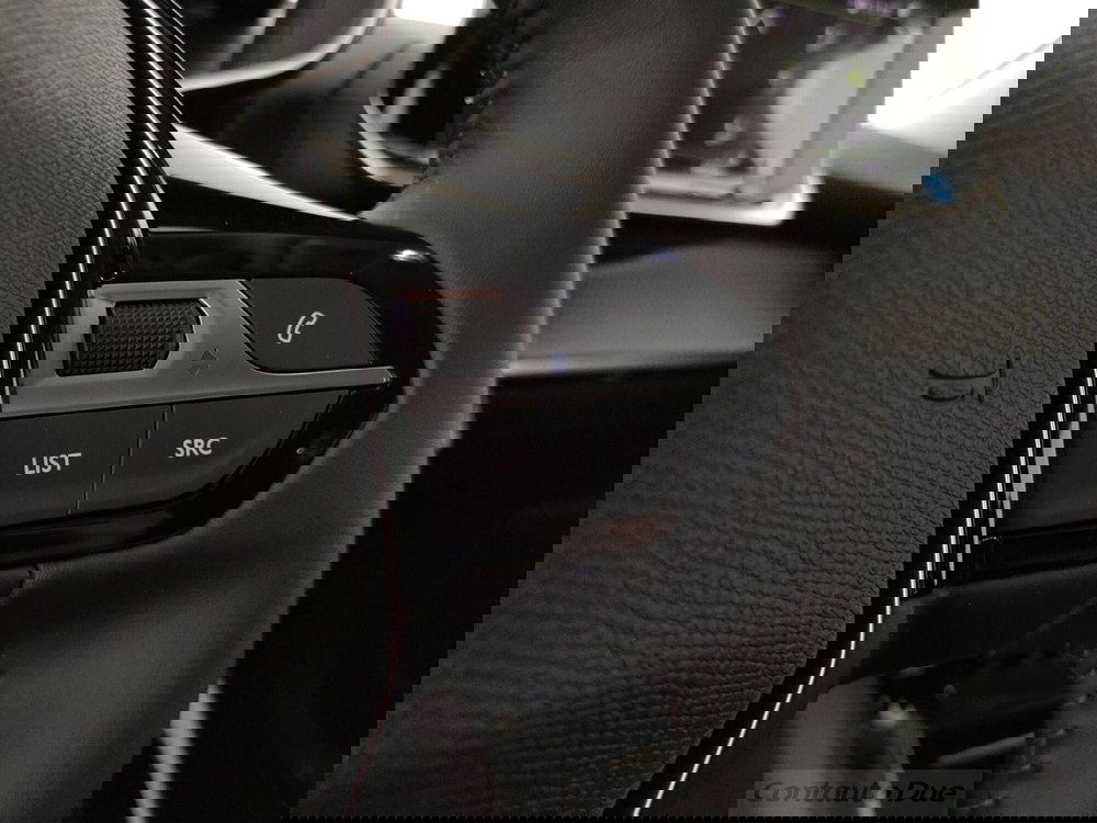 Peugeot 2008 usata a Caserta (19)