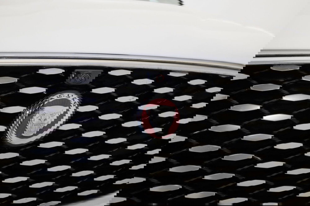 Jaguar F-Pace usata a Torino (18)