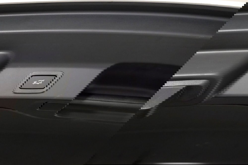 Jaguar F-Pace usata a Torino (20)