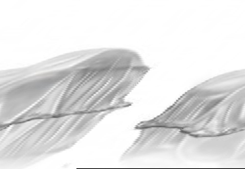 BMW X5 nuova a Torino (3)