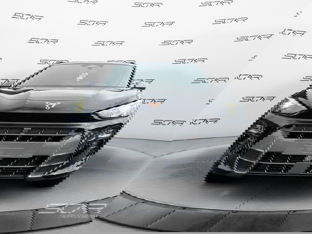 Cupra Terramar nuova a Livorno (2)