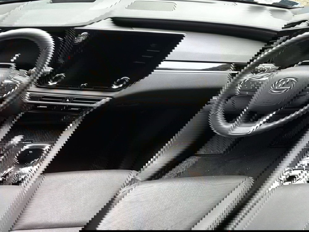 Lexus RX usata a Forlì-Cesena (10)