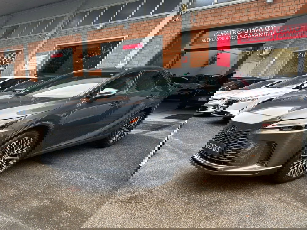 Lexus RX usata a Forlì-Cesena (3)