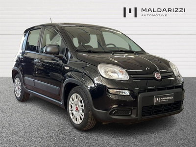Fiat Panda 1.0 firefly hybrid s&amp;s 70cv 5p.ti del 2024 usata a Bari