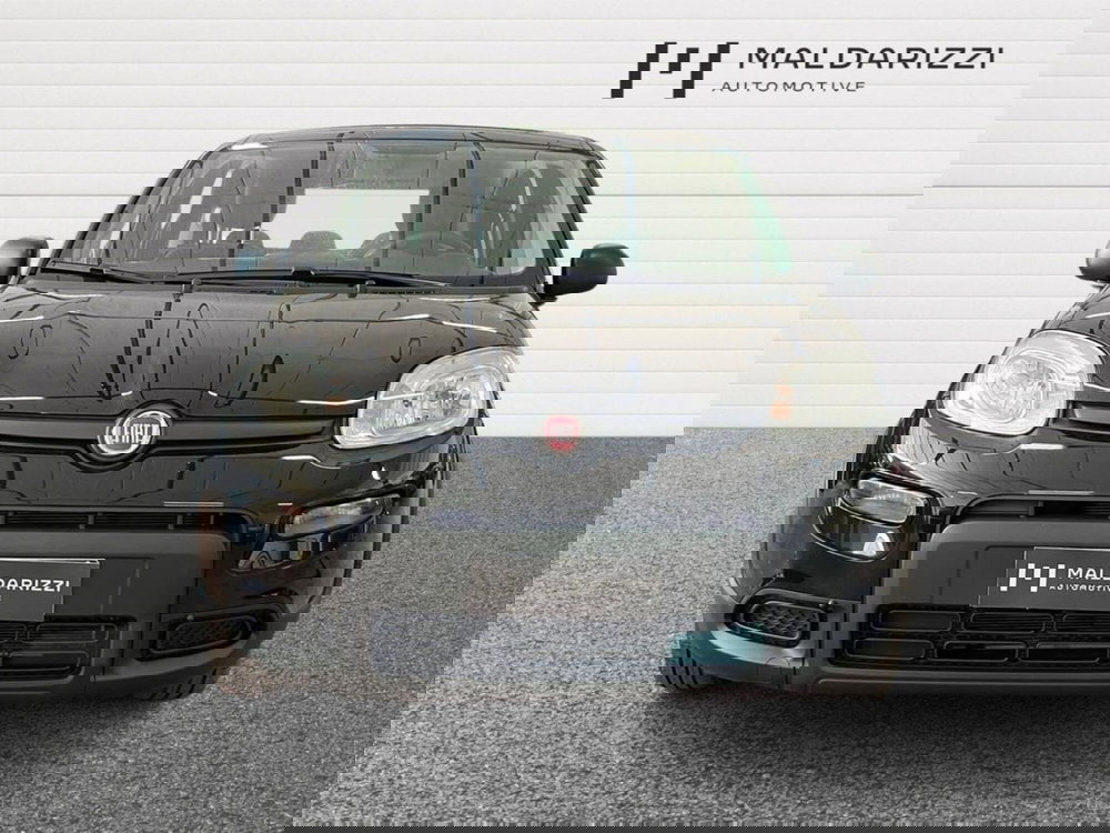 Fiat Panda usata a Bari (2)