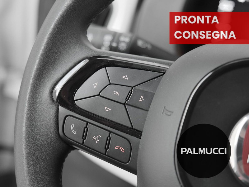 Fiat Panda Cross usata a Prato (10)