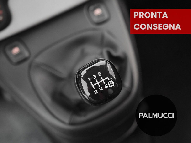 Fiat Panda Cross usata a Prato (15)