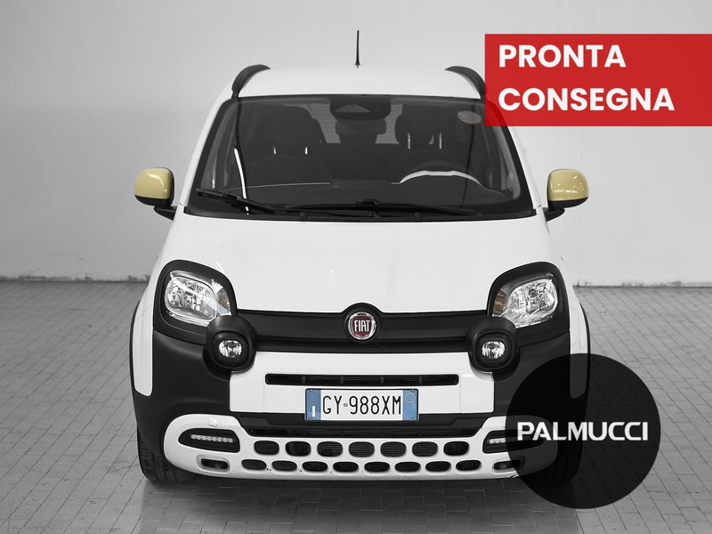 Fiat Panda Cross usata a Prato (2)