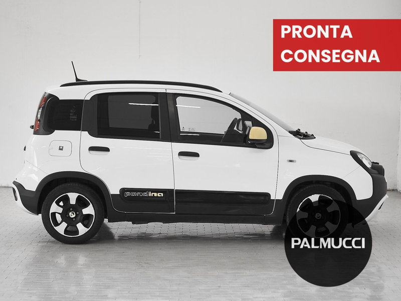 Fiat Panda Cross usata a Prato (4)