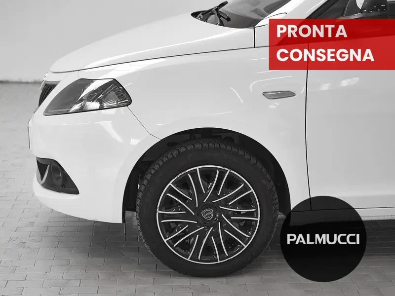 Lancia Ypsilon usata a Prato (6)