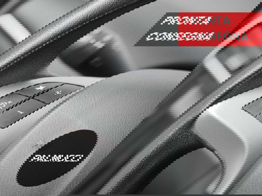 Lancia Ypsilon usata a Prato (15)