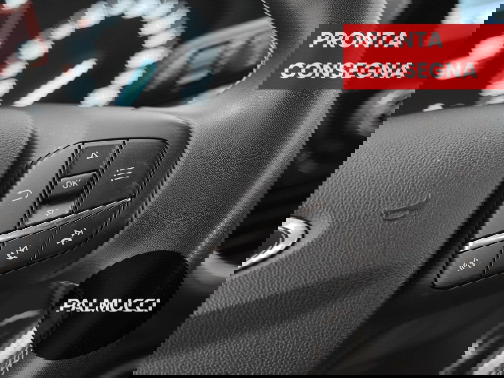 Ford Puma usata a Prato (10)