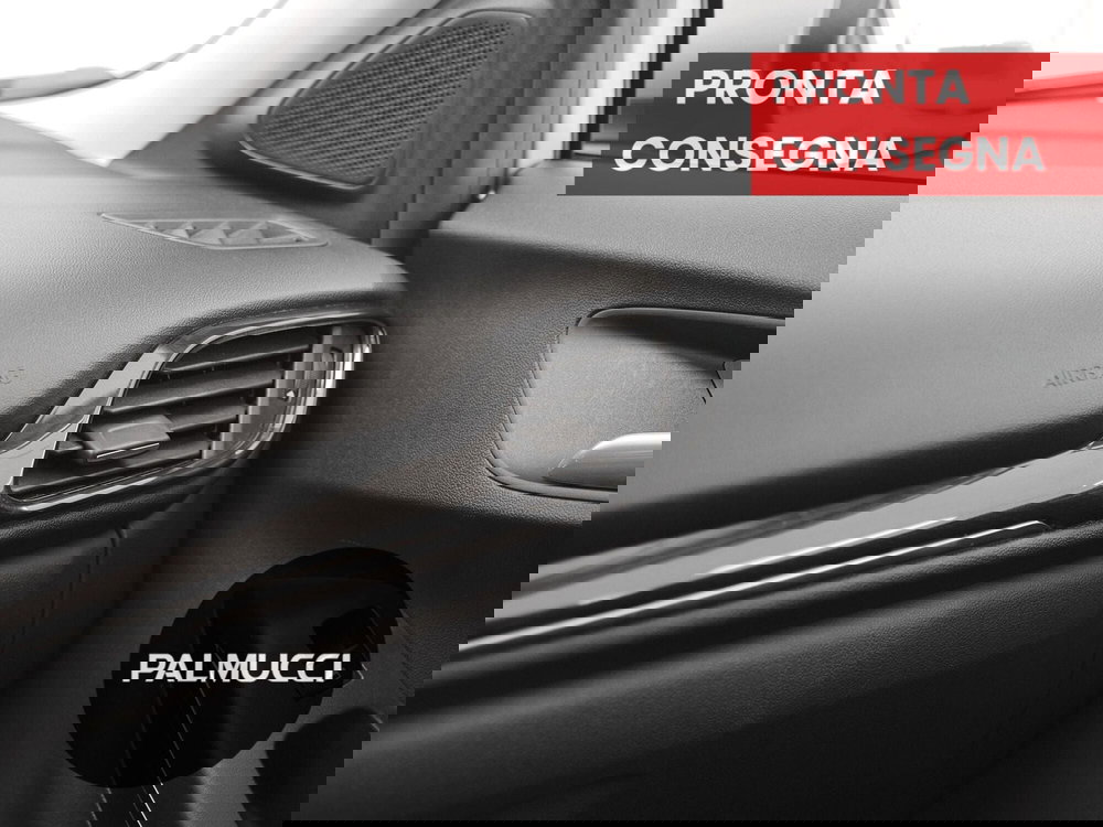 Ford Puma usata a Prato (13)