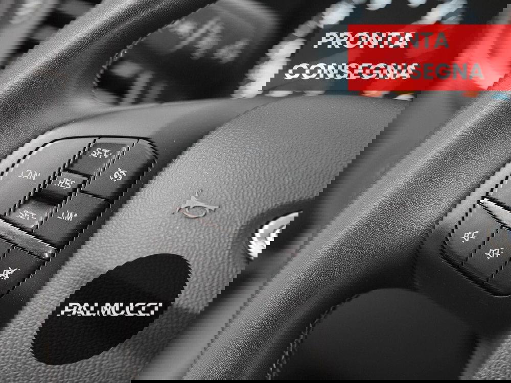 Ford Puma usata a Prato (18)