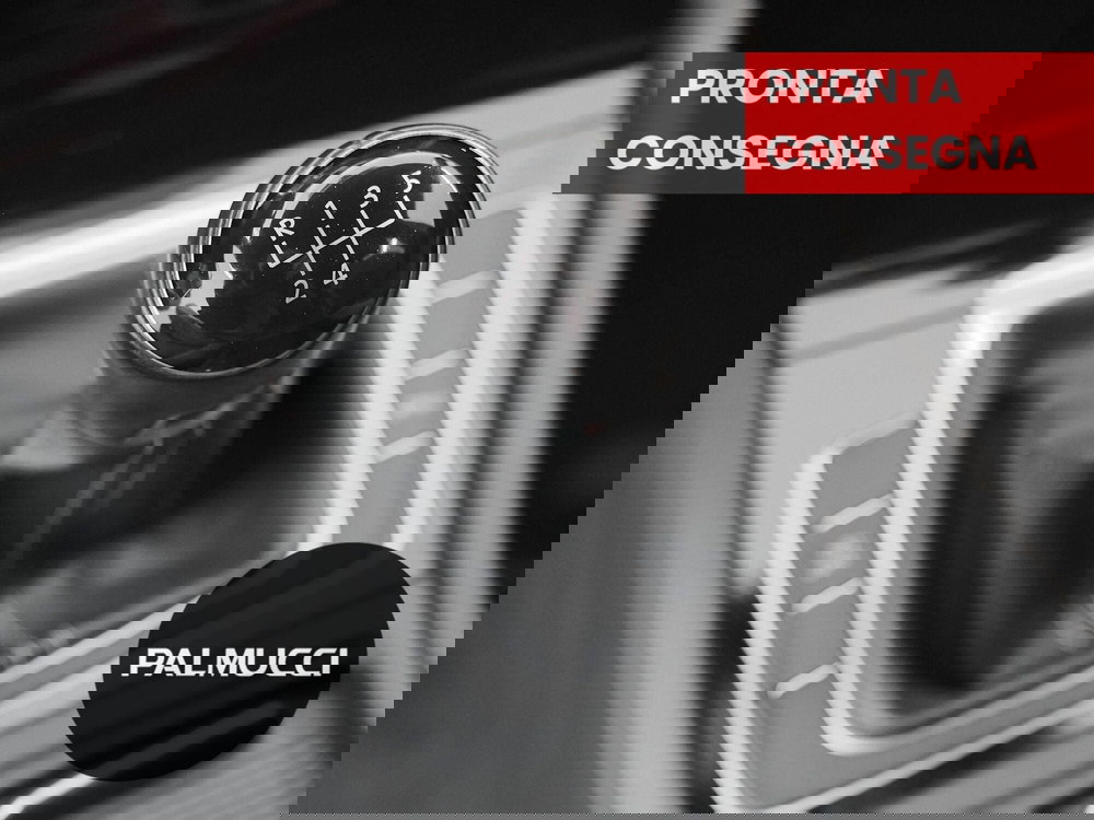 Volkswagen Golf usata a Prato (15)