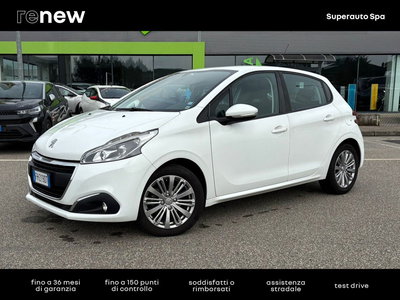 Peugeot 208 75 5 porte Active del 2017 usata a Albano Vercellese