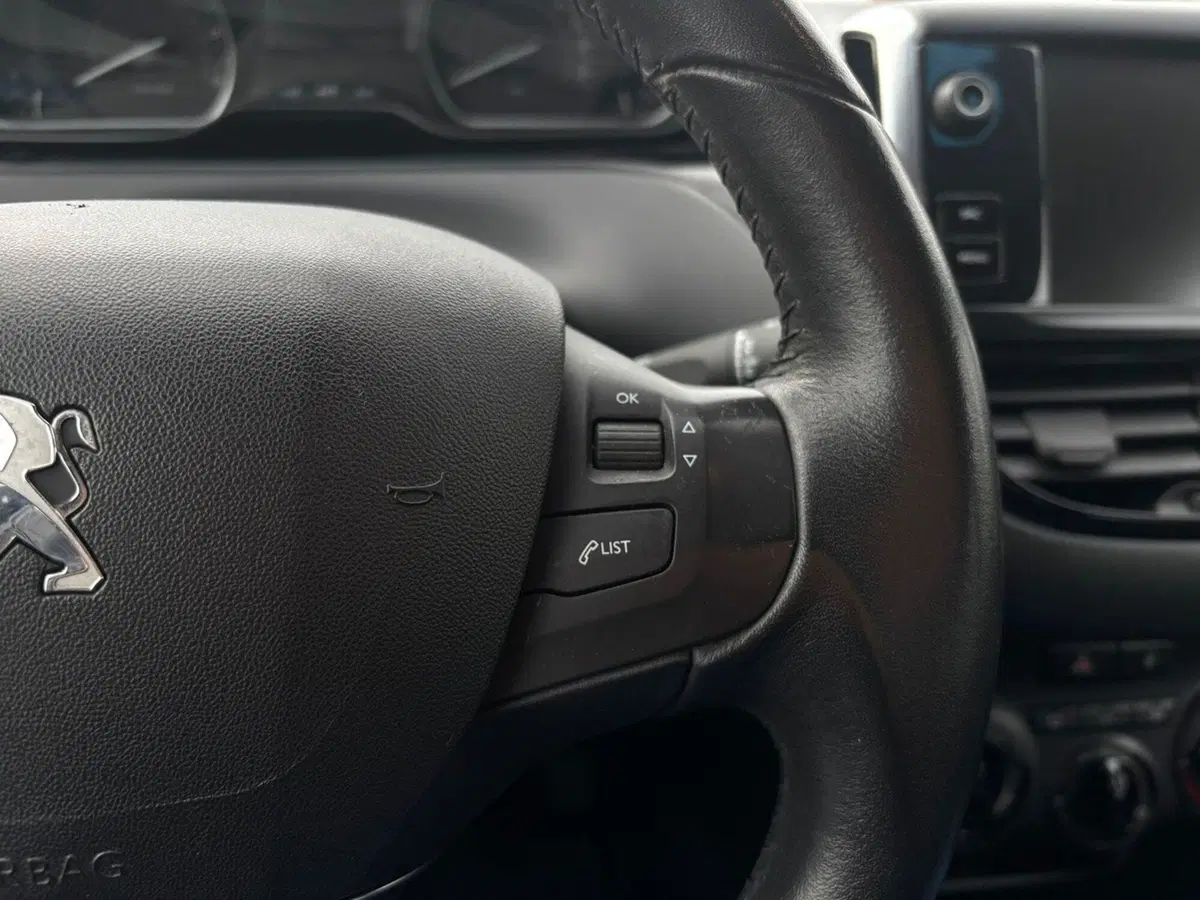 Peugeot 208 usata a Vercelli (11)