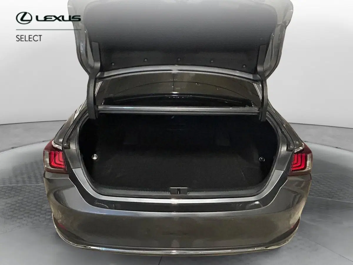 Lexus ES usata a Bergamo (11)