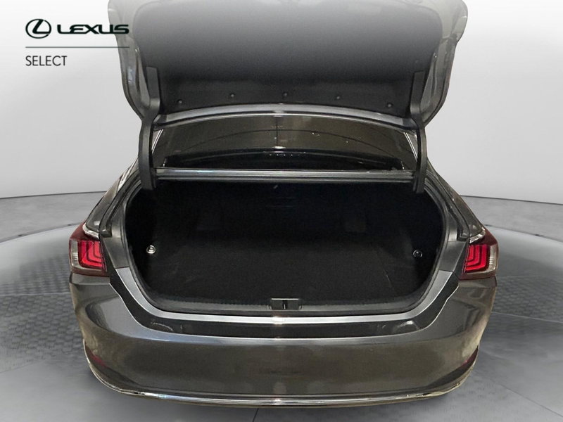 Lexus ES usata a Bergamo (11)