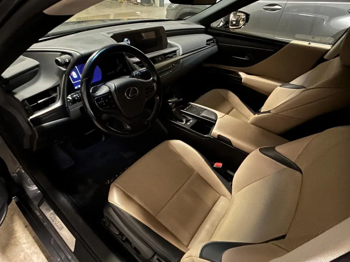 Lexus ES usata a Bergamo (12)