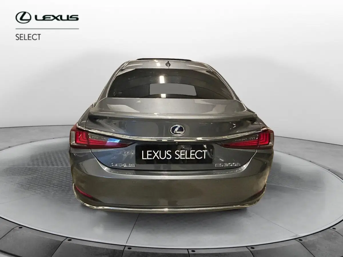 Lexus ES usata a Bergamo (4)