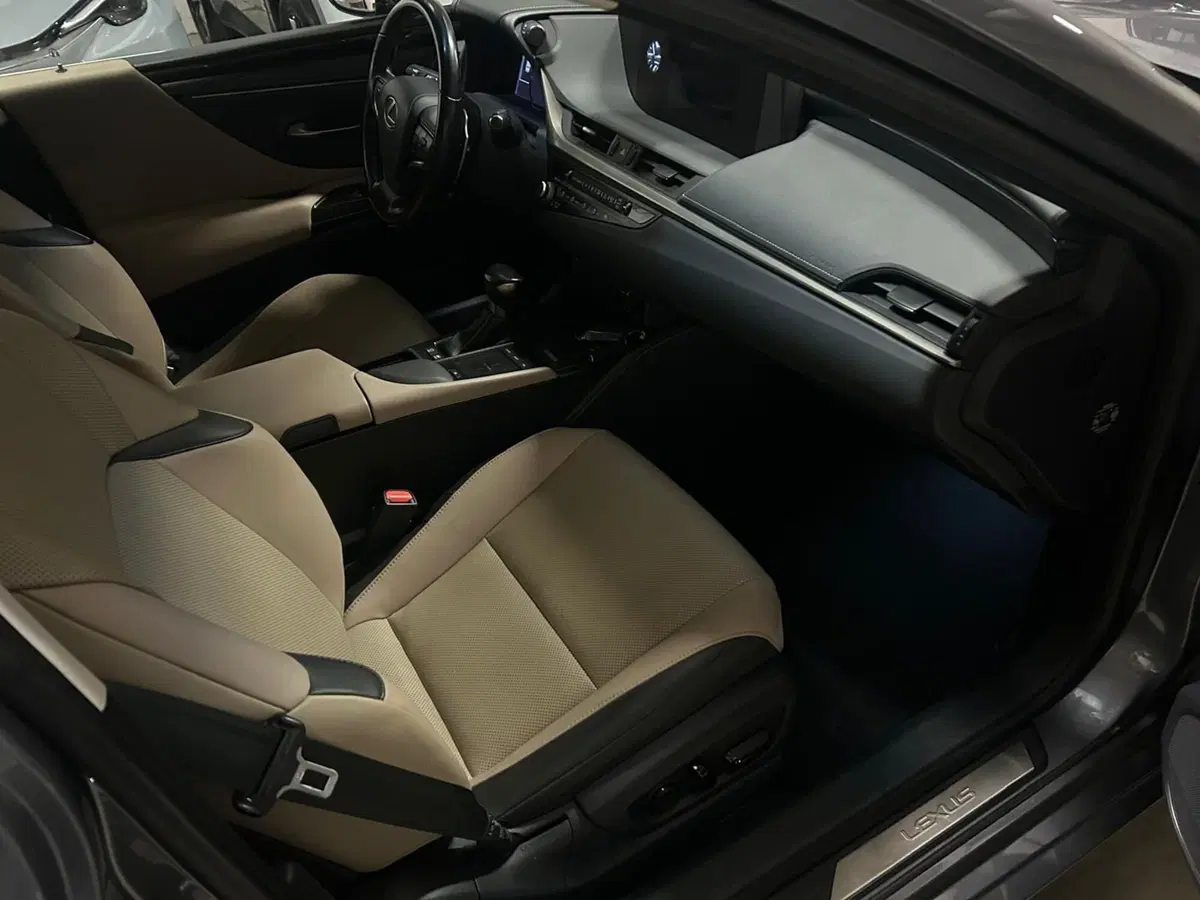 Lexus ES usata a Bergamo (6)
