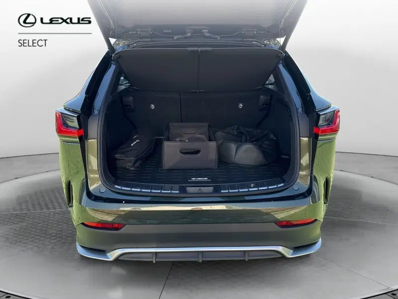 Lexus NX usata a Bergamo (14)