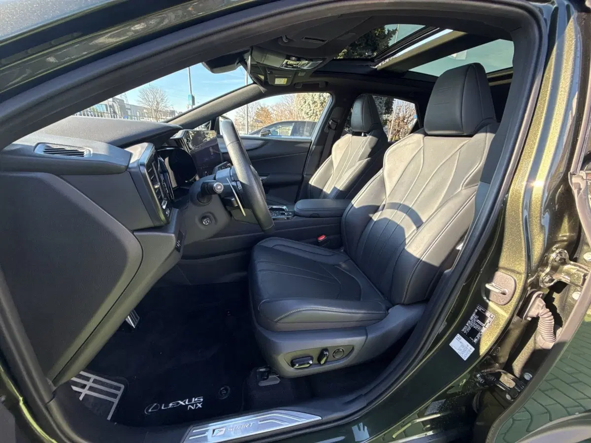 Lexus NX usata a Bergamo (17)