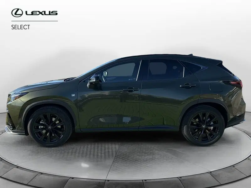 Lexus NX usata a Bergamo (2)