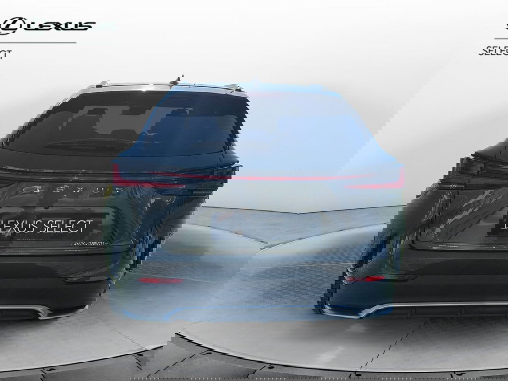 Lexus NX usata a Bergamo (4)