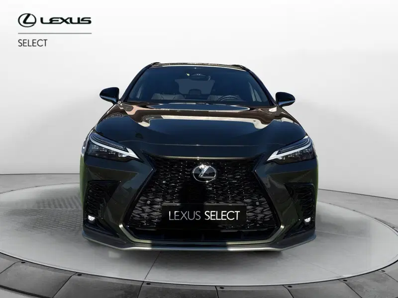 Lexus NX usata a Bergamo (5)