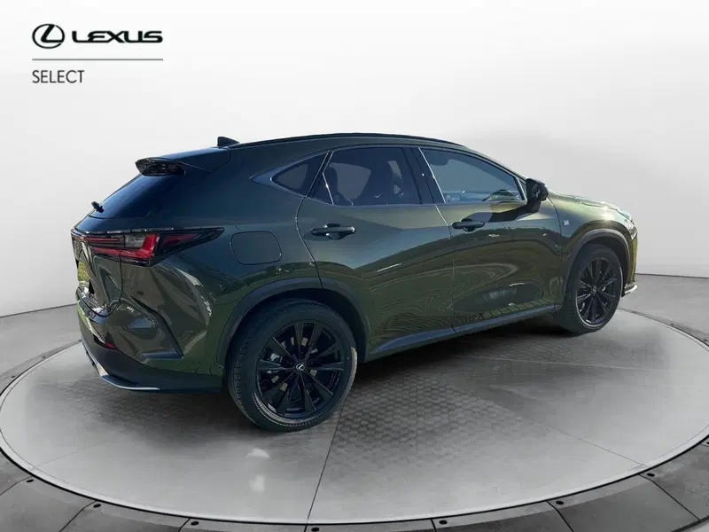 Lexus NX usata a Bergamo (6)