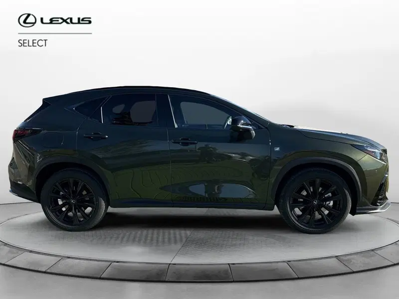 Lexus NX usata a Bergamo (7)