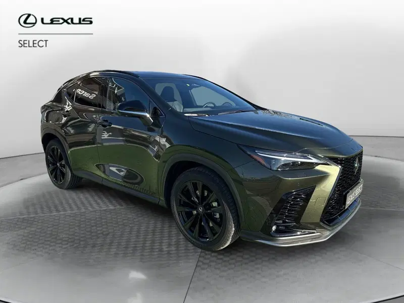 Lexus NX usata a Bergamo (8)