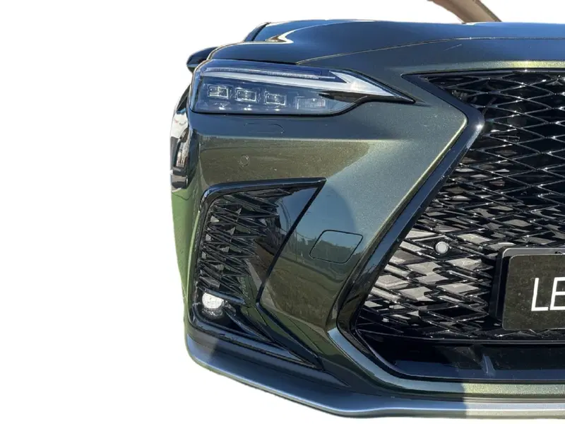 Lexus NX usata a Bergamo (9)