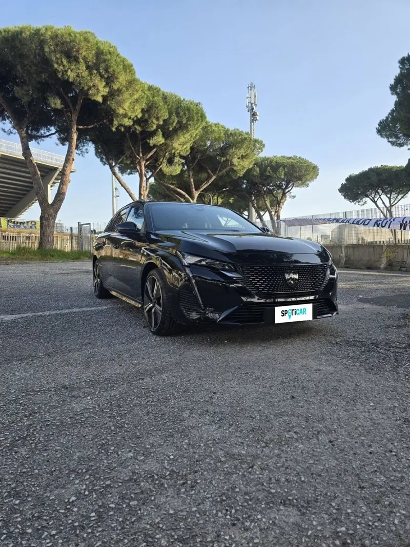 Peugeot 308 SW usata a Massa-Carrara (17)