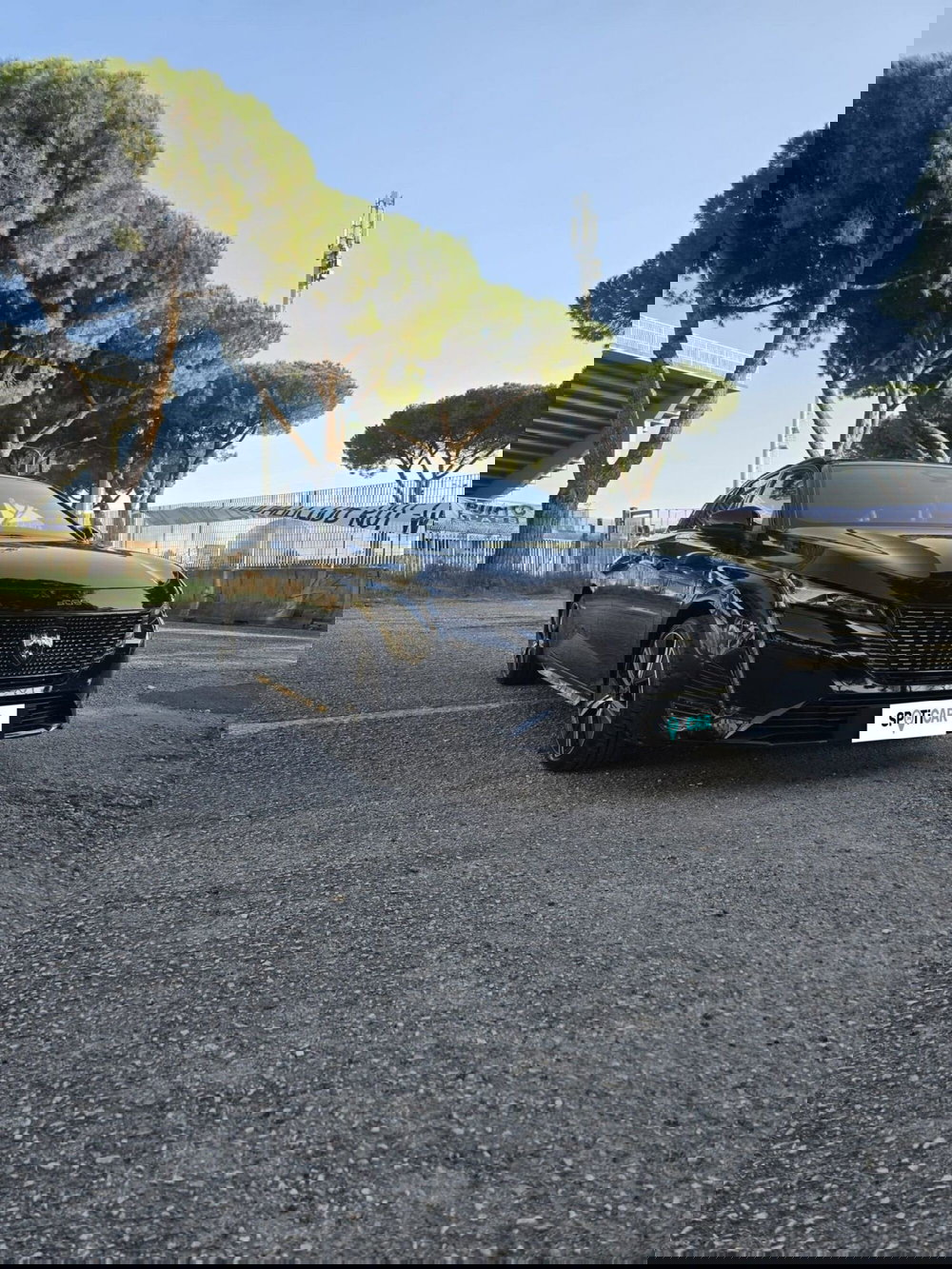 Peugeot 308 SW usata a Massa-Carrara (17)