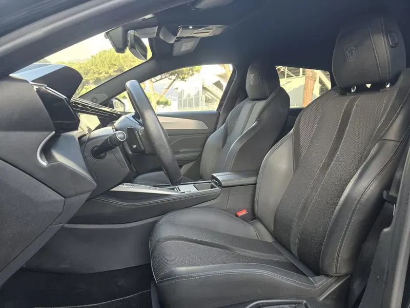 Peugeot 308 SW usata a Massa-Carrara (19)