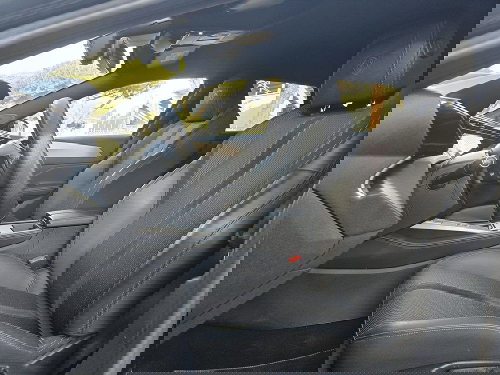 Peugeot 308 SW usata a Massa-Carrara (19)