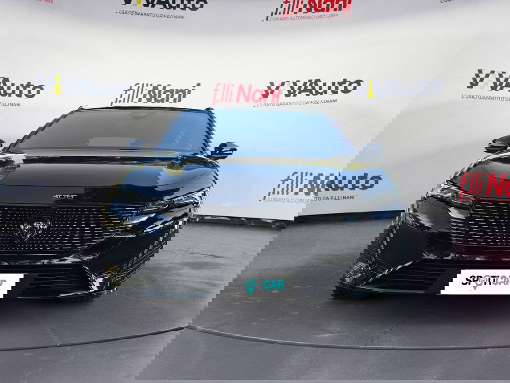 Peugeot 308 SW usata a Massa-Carrara (3)