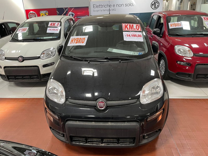 Fiat Panda Cross nuova a Lucca (2)