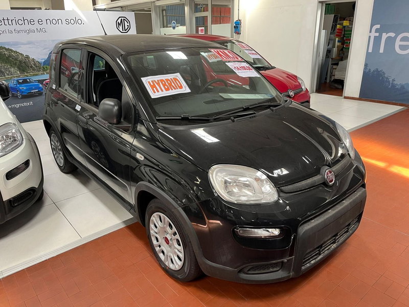 Fiat Panda Cross nuova a Lucca (3)