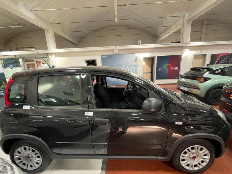 Fiat Panda Cross nuova a Lucca (4)