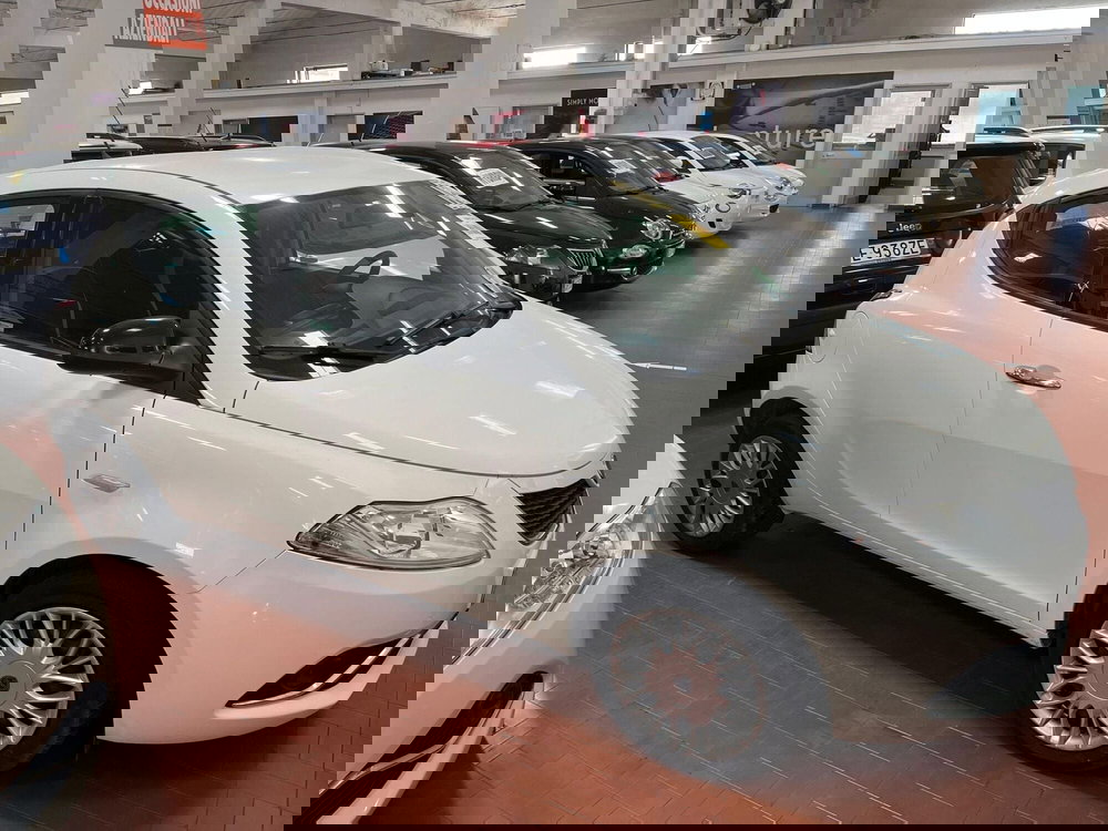 Lancia Ypsilon usata a Lucca (4)