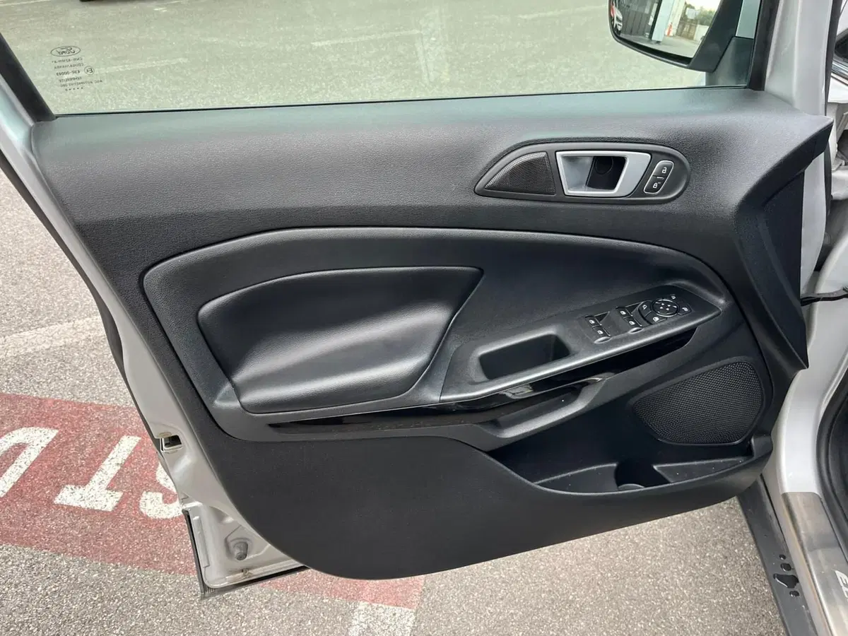 Ford EcoSport usata a Lucca (10)
