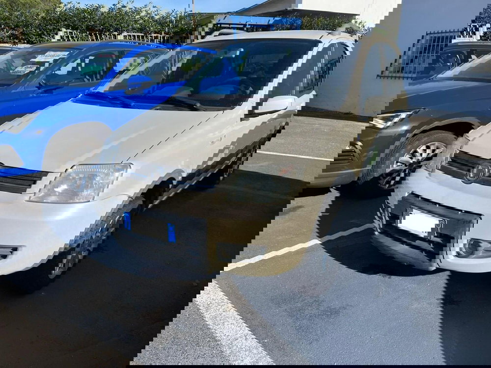 Fiat Panda usata a Lucca