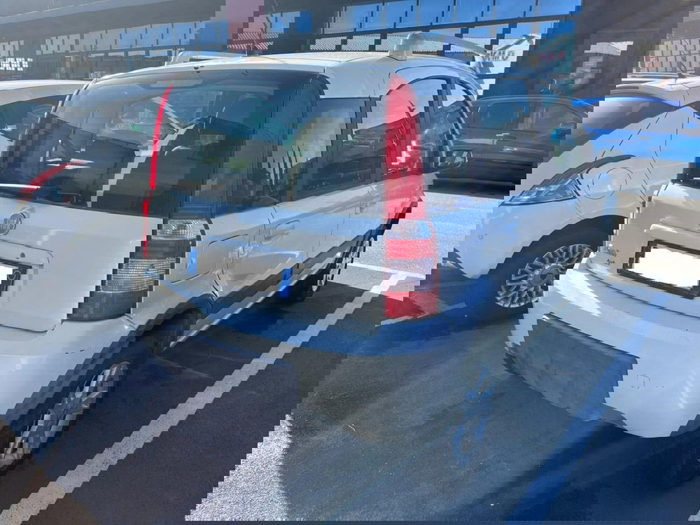 Fiat Panda usata a Lucca (4)